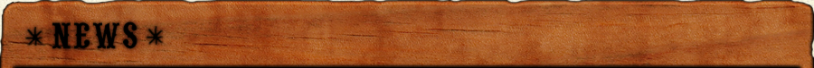 ŐV